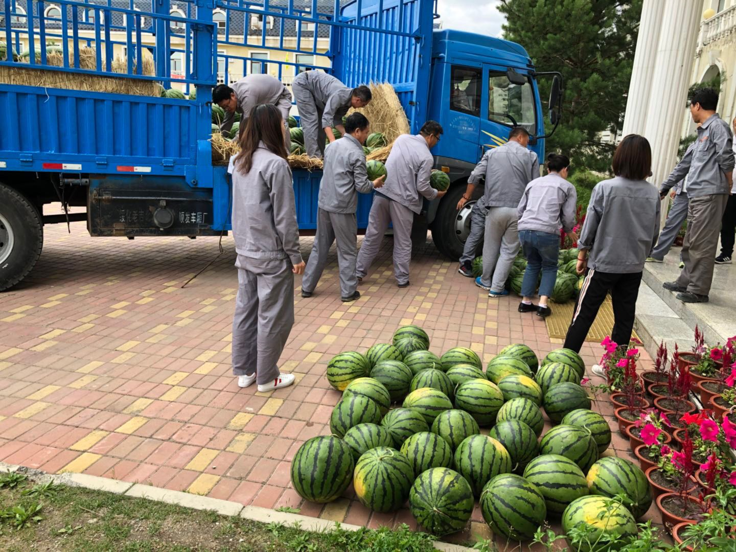 無標題.png 無標題.png